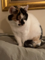 /album/265/whatsapp-image-2026-03-25-at-19-48-52-1-jpeg/